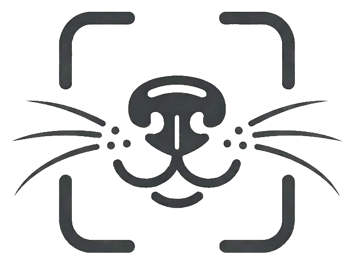 SnoutCloud logo