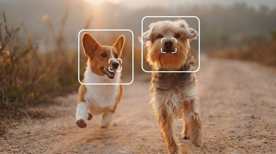 SnoutCloud app interface showing a verified dog profile with nose print biometric scan